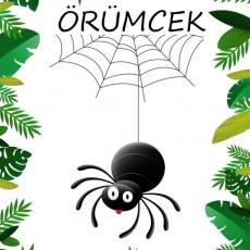 Örümcek ve Ağı: Eğitici Görsel Materyal