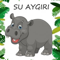 Su Aygırı Eğitici Kartı - Hayvanlar