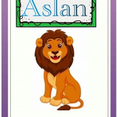 Aslan - Hayvan Eğitimi: Aslan Resmi Çizim ve Yazım Çalışması
