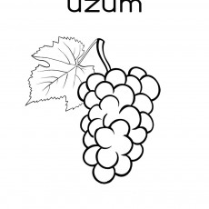 Üzüm - Eğitim İçeriği: Meyve ve Renkler