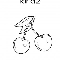 Kiraz - İki adet kiraz meyvesi ve yaprakları
