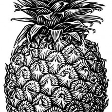 Ananas - Meyve Resmi İllüstrasyonu