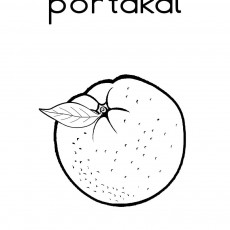 Portakal - 1 (Portakal meyvesi ve yazılı metin)