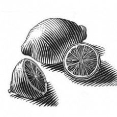 Limon Görseli: Kesilmiş ve Bütün Limonlar