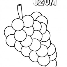 ÜZÜM - Eğitim Materyali ve Renkli Boyama Sayfası