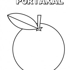 PORTAKAL - Portakal Meyvesi Çizimi ve Eğitimi