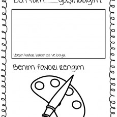 Çocuklara Yönelik Yaş ve Favori Renk Belirleme Etkinliği