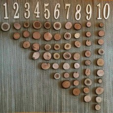 Ahşap Daireler ve Renkli Sayılar: 1'den 10'a Sayı Öğretimi