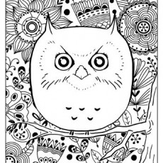 Owl Coloring Page with Floral Patterns - Quiver Masks (1 Owl, 3 Floral Elements)