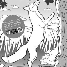 Kit the Fox Coloring Page Activity with QR Code for 3D Experience