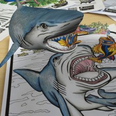 AR Shark and Fish Coloring Activity - Educational Art Material