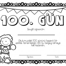 Eğitim Belgesi: 100. Gün Kutlama Sertifikası