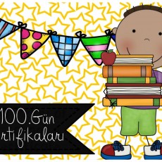 100 Gün Sertifikası - Okuma ve Öğrenme Başarısı