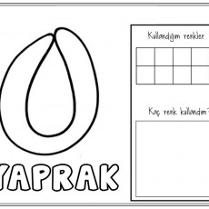 Yaprak Boyama Aktivitesi - Renkler ve Kullanım