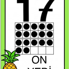 17 (ON YEDİ) Numarası Eğitici Kartı