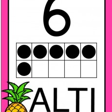 Altı Sayısı ve Görsel Matematik Eğitimi - 6 (ALTİ)