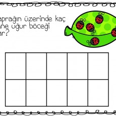 Yaprağın Üzerinde Uğur Böceği Sayma Etkinliği - 6 Uğur Böceği
