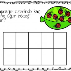 Yaprağın Üzerinde Uğur Böceği Sayma Etkinliği - 7 Uğur Böceği