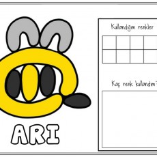 Renk Öğrenimi: Arı Deseni İle Renk Kullanımı