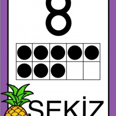 8_SEKIZ_Eğitsel_Materyal
