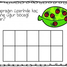 Yaprağın Üzerindeki Uğur Böcekleri: Sayma Etkinliği (7 adet)