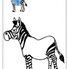 Beyaz Siyah Çizgili Zebra Çizimi - Çocuklar için Hayvan Öğretimi