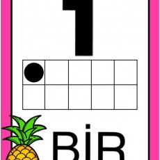 Eğitici Kart: 1 (Bir) Sayısı, Sayma ve Temel Matematik Koncepti