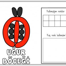 UĞUR BÖCEĞİ RENGİ VE KULLANIMI