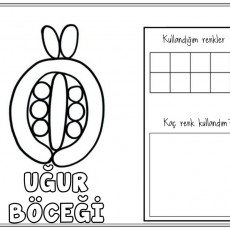 Uğur Böceği Renk Kullanımı Etkinliği - 6 Kutucuklu
