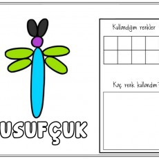 Yusufçuk Renk Kullanım Etkinliği