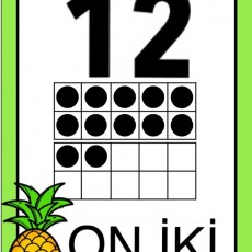 Matematik Eğitimi: ON İKİ (12) Sayısının Temsili ve Sayma Kartı