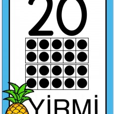 20-Yirmi-Matematik-Eğitimi