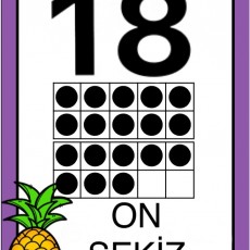 18 ON SEKİZ Eğitim Materyali