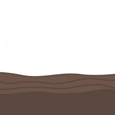 Brown Wooden Texture Illustration