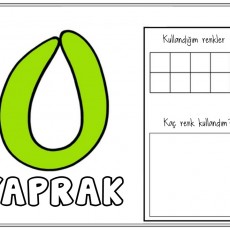 Eğitici Materyal: Yaprak ve Renkler - 1 (BİR)