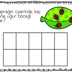 Yaprağın Üzerindeki Uğur Böcekleri Sayma Aktivitesi - 5 Uğur Böceği