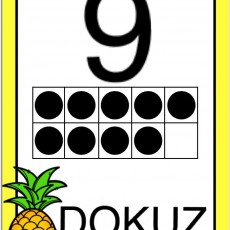 9-DOKUZ-Eğitici Kart