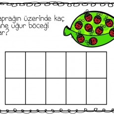 Yaprak Üzerinde Uğur Böceği Sayma Etkinliği - 20 Uğur Böceği