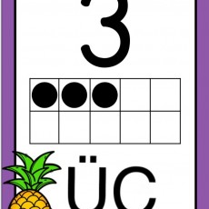 Üç - Sayı Öğrenimi - 3 (Üç) ve Ananas Temalı Eğitim Kartı