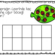 Yaprak Üzerinde Kaç Uğur Böceği Var? - Eğitici Sayma Materyali