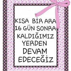 Kısa Bir Ara 16 Gün Sonra Devam Edeceğiz