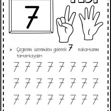 YEDİ (7) - Sayı Öğrenme ve Yazma Etkinliği
