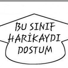 Mezuniyet Hatırası: Bu Sınıf Harikaydı Dostum