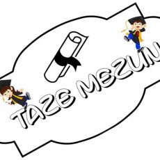 Taze Mezun: 1 (Bir) Mezuniyet Temalı Eğitici Materyal