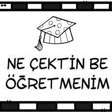 Eğitim ve Öğretim Üzerine Mizahi Materyal - Ne Çektin Be Öğretmenim