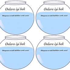 Balık Çeşitlerine Genel Bakış: 4 Balık Kasesinde Bakım ve Sevimlilik Üzerine Bilgilendirme
