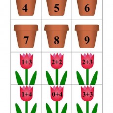 Bitki Saksıları ve Çiçekler ile Temel Matematik Problemleri