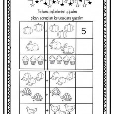 Toplama İşlemleri Eğitimi: Sayı 5, Hayvanlar ve Nesneler ile Matematik Uygulamaları