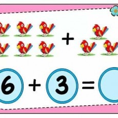 Toplama İşlemi: 6 (ALTIDAN) + 3 (ÜÇTEN) = 9 (DOKUZ) - Kuş Figürleri ile Eğitim Materyali