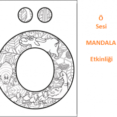 Ö SESİ  (1)